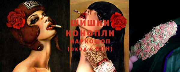 spice Абаза