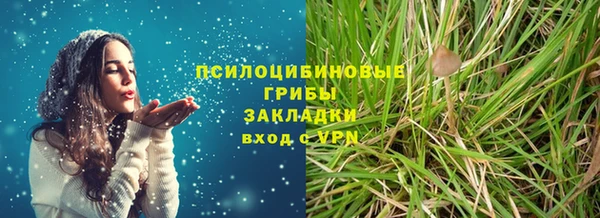 spice Абаза