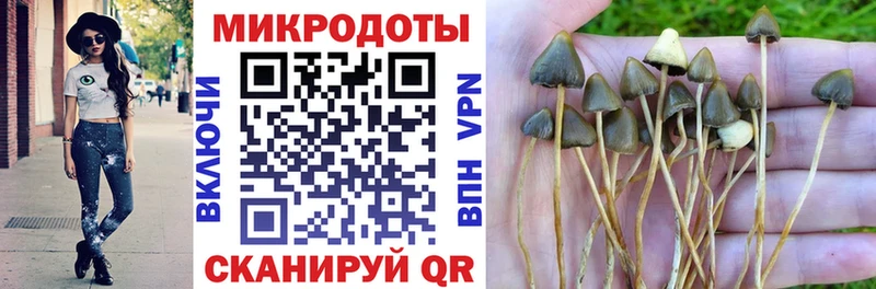 Псилоцибиновые грибы GOLDEN TEACHER  закладка  KRAKEN ссылки  Новотроицк 
